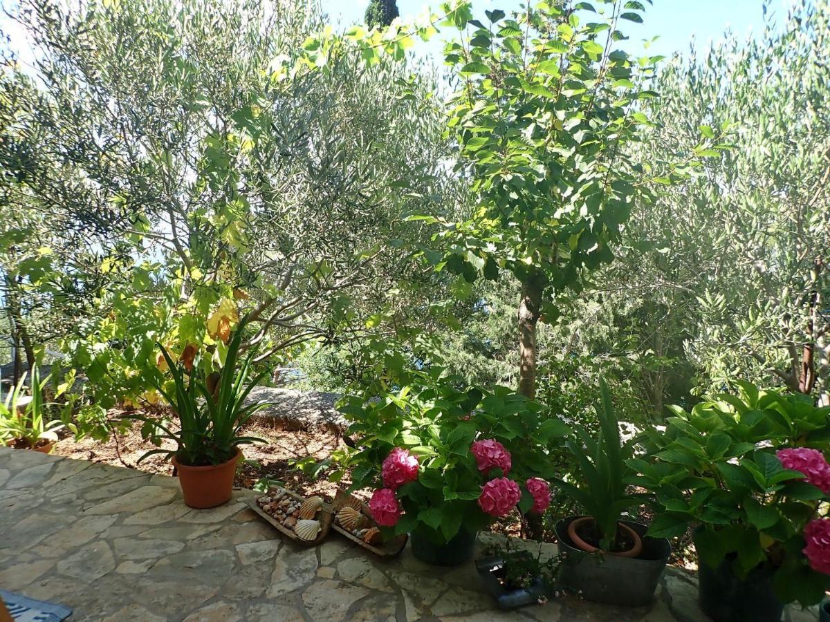 Studio Mare -30 M From A Lonely Beach Baric Draga Luaran gambar